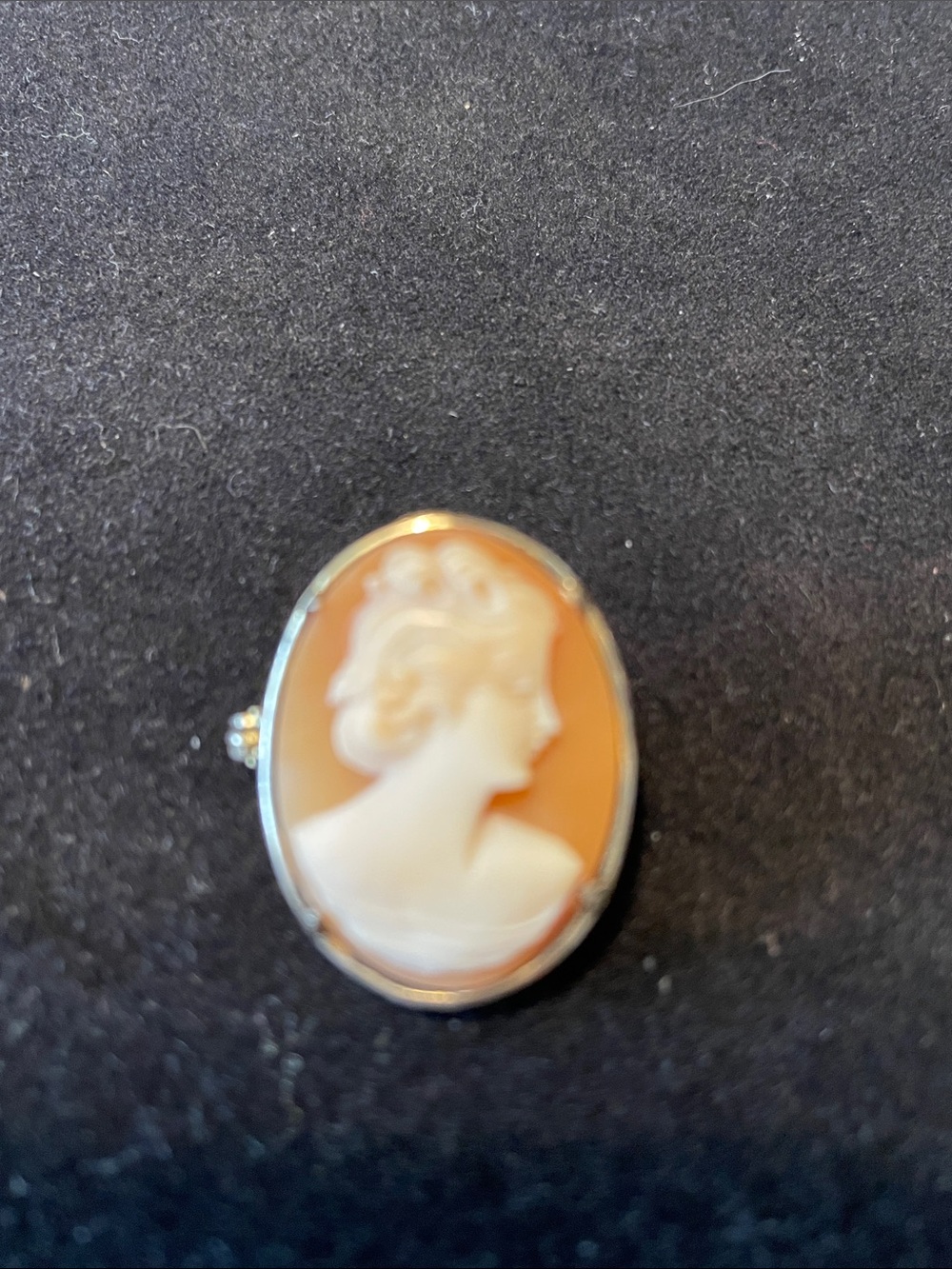 Cameo Broach/Pendant - Vintage
